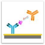 image of classical epitope binning
