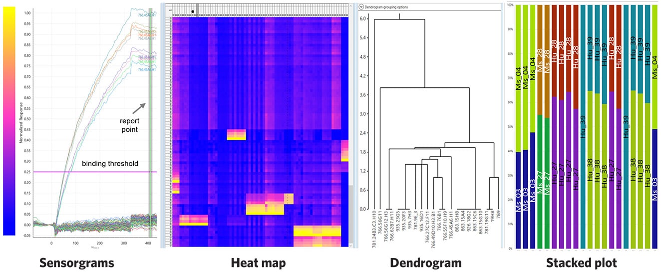 Recording of an Epitope Heat Mapping Software