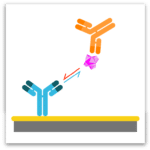 Epitope Binning - Characterize and Group Antibodies - Image of Premix Epitope Binning