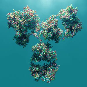 image of antibody drug conjugates