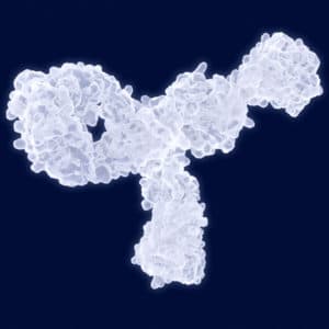 antibody discovery formats