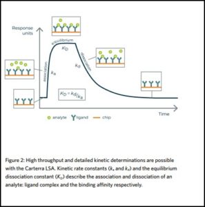 High Throughput Surface Plasmon Resonance: Why It Matters