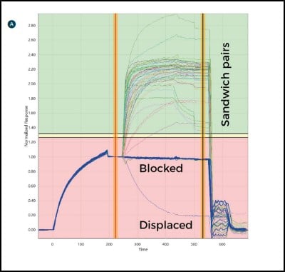 Surface Plasmon Resonance: Epitope Response 