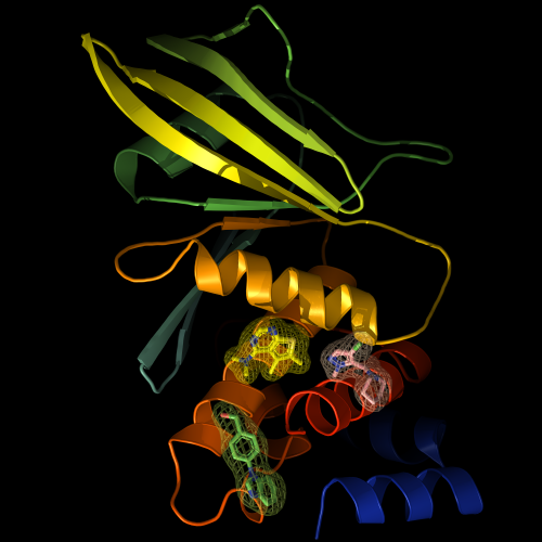 Webinar: Massively Parallel SPR-Based Fragment Screening on Ligand Arrays Webinar